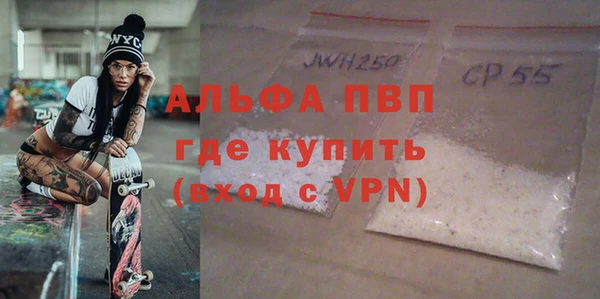 шишки Беломорск