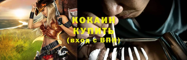 шишки Беломорск