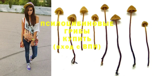 apvp Белоозёрский