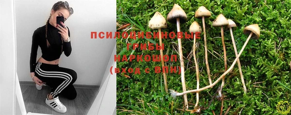 марихуана Белокуриха