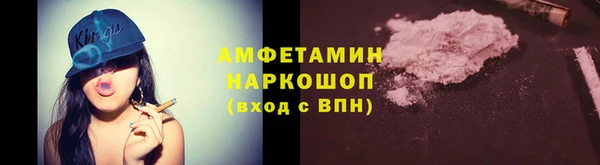 шишки Беломорск