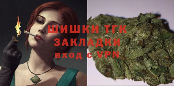 шишки Беломорск