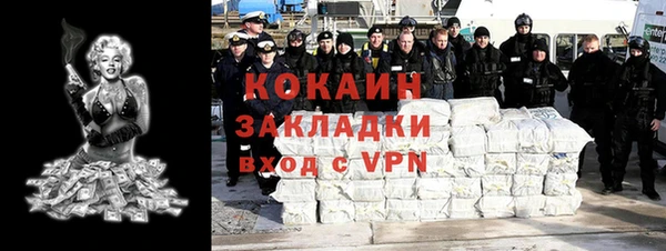 шишки Беломорск