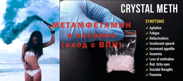 шишки Беломорск