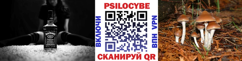 Псилоцибиновые грибы ЛСД  Буйнакск 
